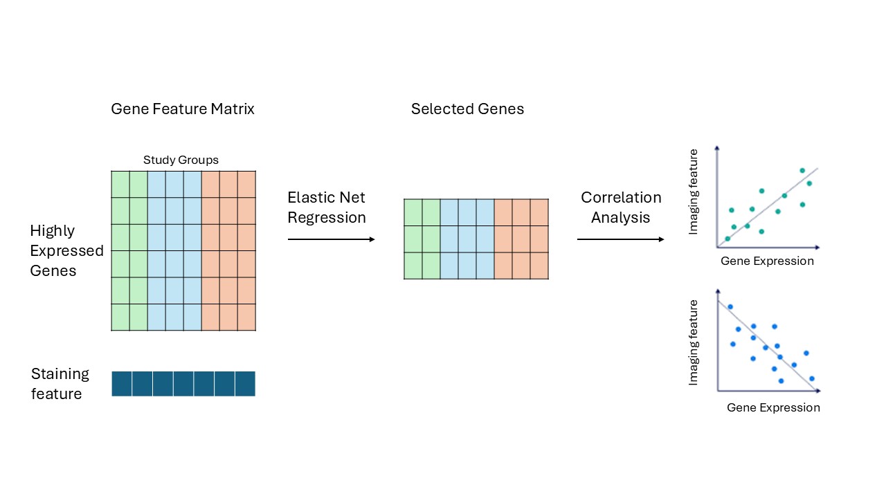 Pipeline overview diagram